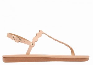 Sandały Z Paskiem Na Plecy Damskie Ancient Greek Sandals Velos Flip Flop Beżowe | EHX9191IY