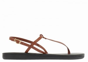 Sandały Z Paskiem Na Plecy Damskie Ancient Greek Sandals Lito Flip Flop Ciemny Brązowe | ZVI6934IX