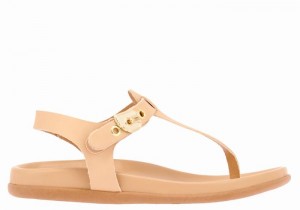 Sandały Z Paskiem Na Plecy Damskie Ancient Greek Sandals Alki Flip Flop Beżowe | QUP3193UR