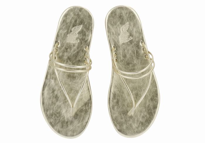 Japonki Damskie Ancient Greek Sandals E Złote Białe | AEW9828YW