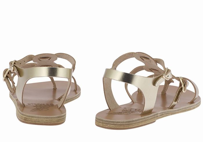 Sandały Casual Damskie Ancient Greek Sandals Grace Kelly Leather Złote Białe | NLU4925VH