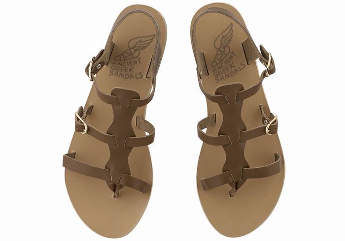 Sandały Casual Damskie Ancient Greek Sandals Grace Kelly Leather Ciemny Brązowe | FWQ7557BG