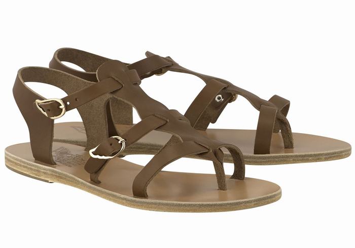 Sandały Casual Damskie Ancient Greek Sandals Grace Kelly Leather Ciemny Brązowe | FWQ7557BG