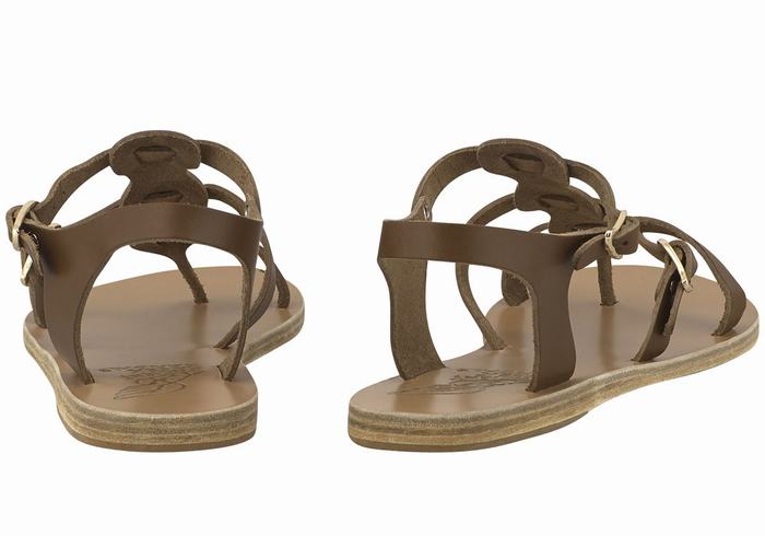 Sandały Casual Damskie Ancient Greek Sandals Grace Kelly Leather Ciemny Brązowe | FWQ7557BG