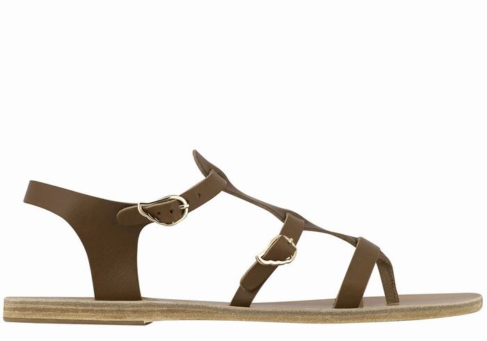 Sandały Casual Damskie Ancient Greek Sandals Grace Kelly Leather Ciemny Brązowe | FWQ7557BG