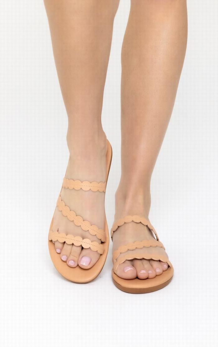 Sandały Do Wsuwania Damskie Ancient Greek Sandals Oceanis Beżowe | ZHG1548GH