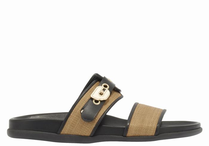 Sandały Do Wsuwania Damskie Ancient Greek Sandals Latria Brązowe Czarne | CSY2043CJ