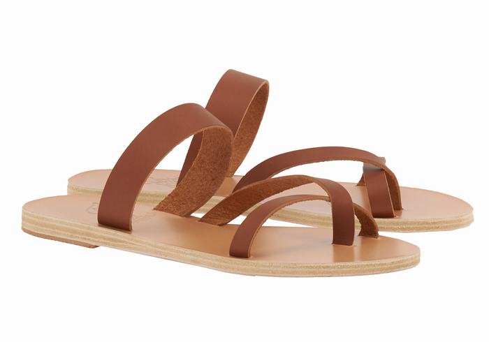 Sandały Do Wsuwania Damskie Ancient Greek Sandals Daphnae Leather Ciemny Brązowe | UCP8229TK