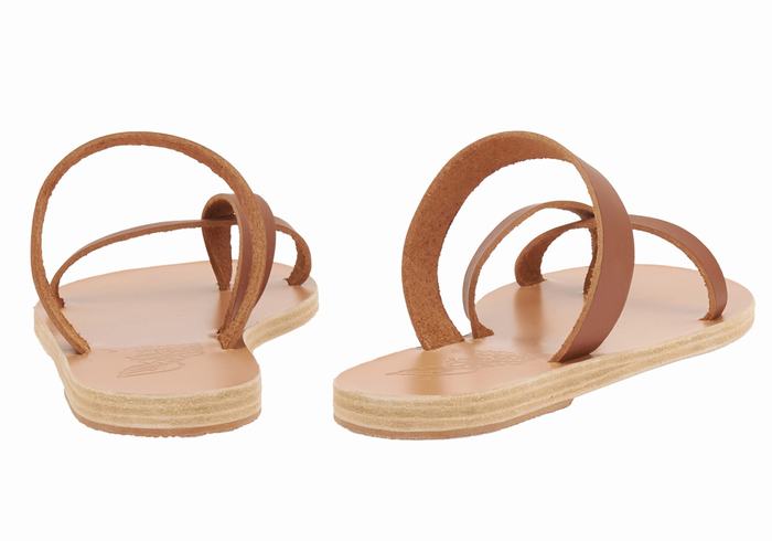 Sandały Do Wsuwania Damskie Ancient Greek Sandals Daphnae Leather Ciemny Brązowe | UCP8229TK