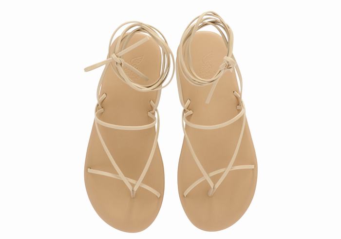 Sandały Gladiatorki Damskie Ancient Greek Sandals String Beżowe | FJK5285JH