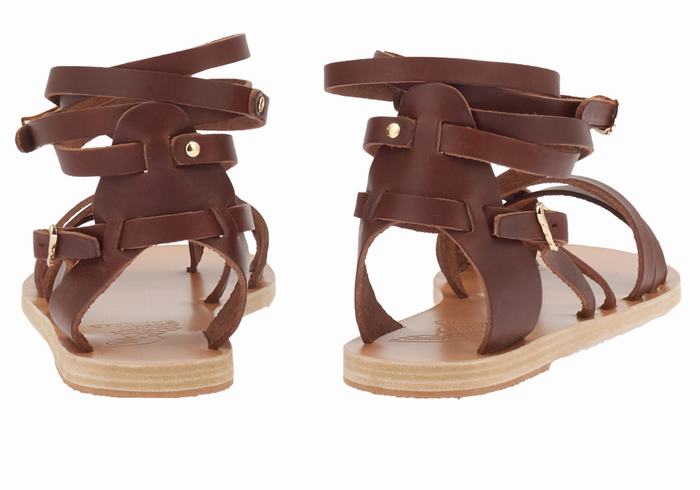 Sandały Gladiatorki Damskie Ancient Greek Sandals Satira Leather Kawa | FXU4338DZ