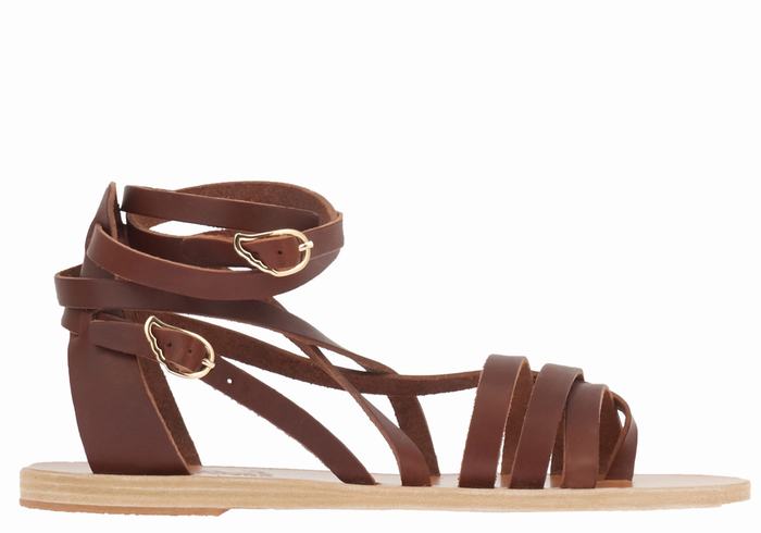 Sandały Gladiatorki Damskie Ancient Greek Sandals Satira Leather Kawa | FXU4338DZ