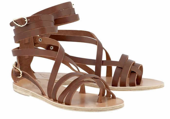 Sandały Gladiatorki Damskie Ancient Greek Sandals Satira Leather Ciemny Brązowe | MBB6567GX