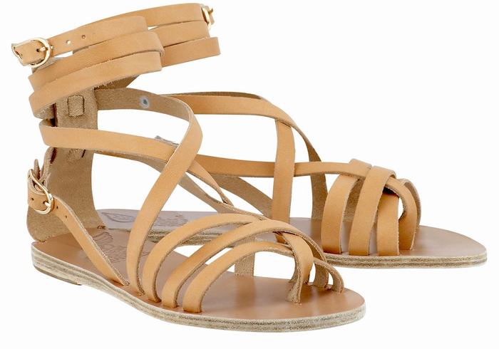 Sandały Gladiatorki Damskie Ancient Greek Sandals Satira Leather Beżowe | HHQ2487PR