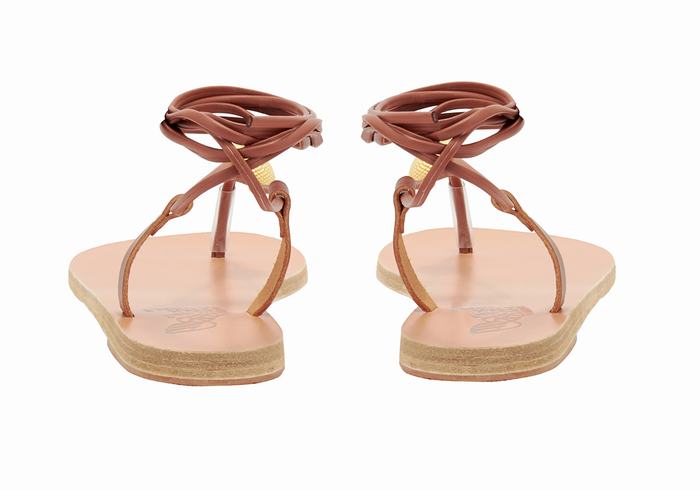 Sandały Gladiatorki Damskie Ancient Greek Sandals Persephone Czerwone | RQP7046XF