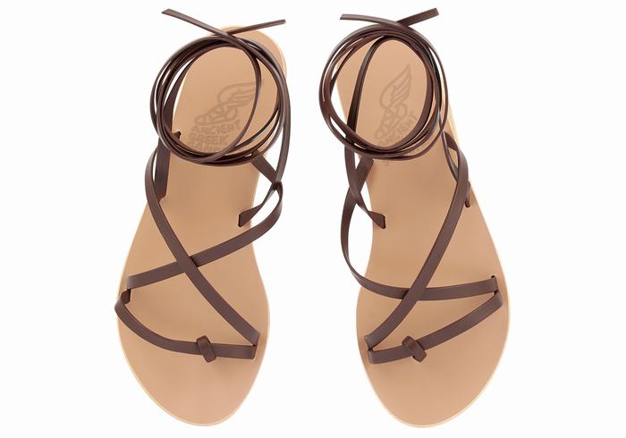 Sandały Gladiatorki Damskie Ancient Greek Sandals Morfi Leather Kawa | CBN2989YB