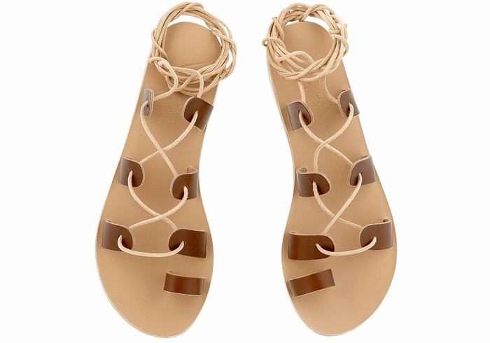 Sandały Gladiatorki Damskie Ancient Greek Sandals Alcyone Leather Ciemny Brązowe | DSO4993UN