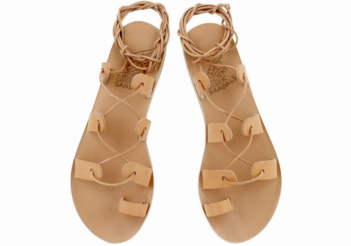 Sandały Gladiatorki Damskie Ancient Greek Sandals Alcyone Leather Beżowe | DZF5016NT