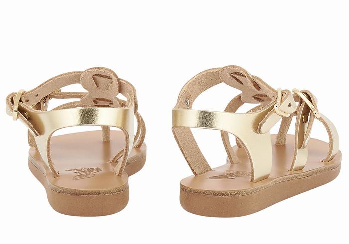 Sandały Płaskie Dziecięce Ancient Greek Sandals Little Grace Kelly Soft Złote Białe | JZC384IL