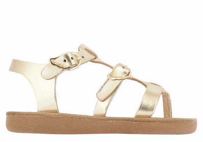 Sandały Płaskie Dziecięce Ancient Greek Sandals Little Grace Kelly Soft Złote Białe | JZC384IL