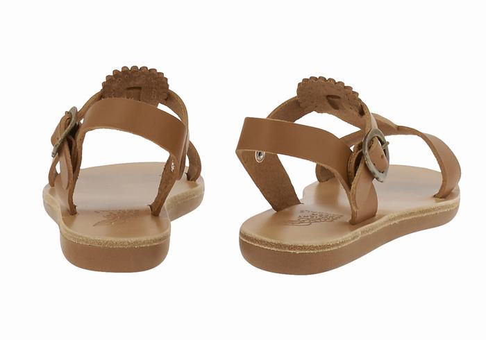 Sandały Płaskie Dziecięce Ancient Greek Sandals Little Amber Soft Ciemny Brązowe | LLX6044PR