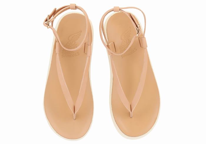 Sandały Z Paskami Damskie Ancient Greek Sandals Salomi Comfort Beżowe | EYI1957FH