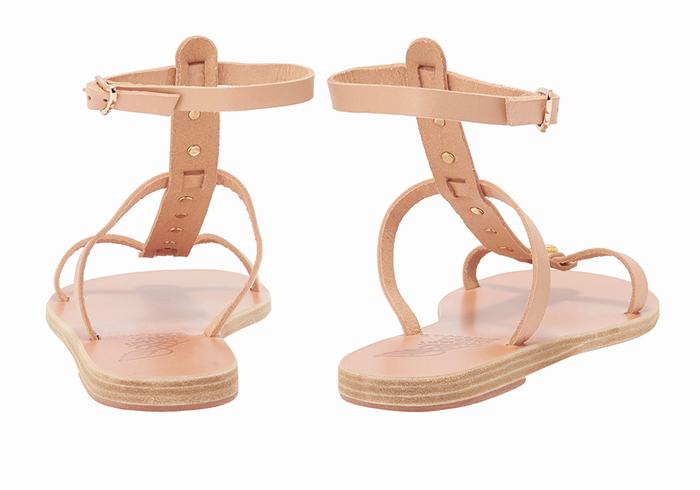 Sandały Z Paskami Damskie Ancient Greek Sandals Meliti Bee Beżowe | JPS5672GS