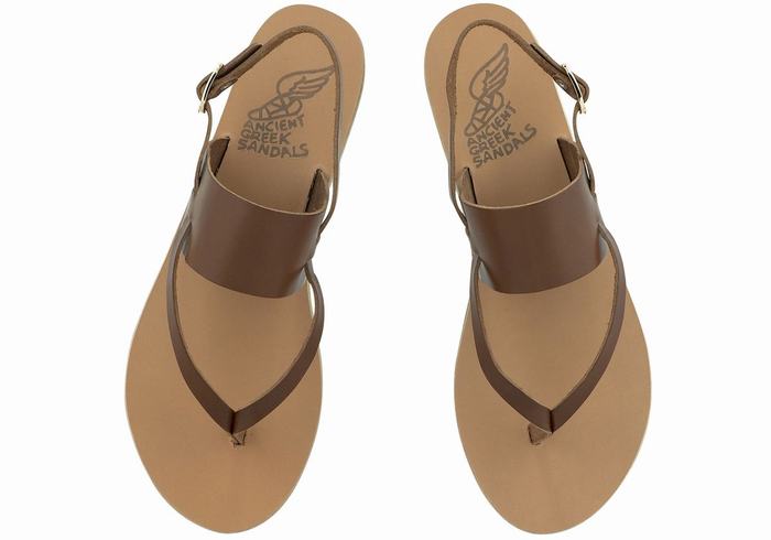 Sandały Z Paskiem Na Plecy Damskie Ancient Greek Sandals Zoe Flip Flop Leather Ciemny Brązowe | OPZ6811IT