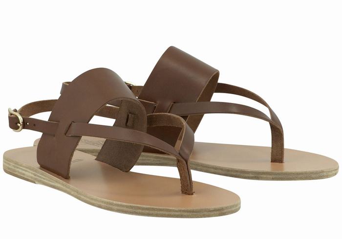 Sandały Z Paskiem Na Plecy Damskie Ancient Greek Sandals Zoe Flip Flop Leather Ciemny Brązowe | OPZ6811IT