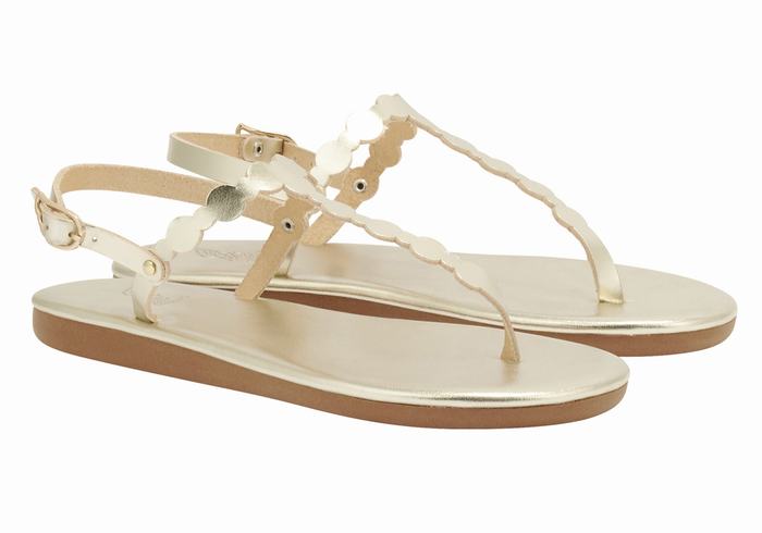 Sandały Z Paskiem Na Plecy Damskie Ancient Greek Sandals Velos Flip Flop Złote Białe | TNZ680JC