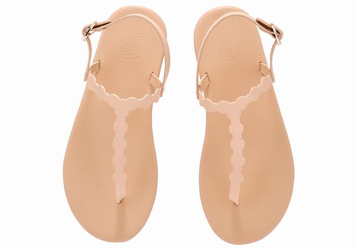 Sandały Z Paskiem Na Plecy Damskie Ancient Greek Sandals Velos Flip Flop Beżowe | EHX9191IY