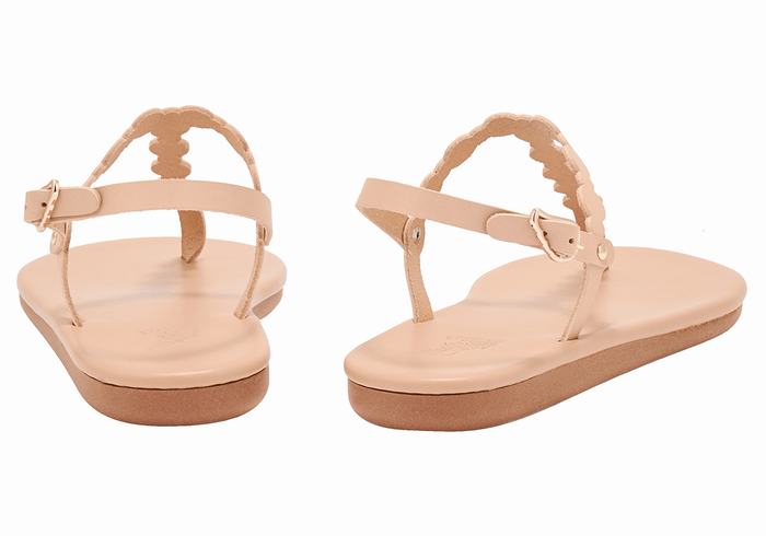 Sandały Z Paskiem Na Plecy Damskie Ancient Greek Sandals Velos Flip Flop Beżowe | EHX9191IY