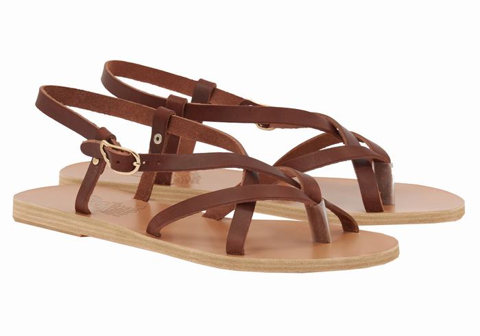 Sandały Z Paskiem Na Plecy Damskie Ancient Greek Sandals Semele Leather Kawa | NZB9574CN