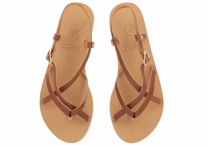 Sandały Z Paskiem Na Plecy Damskie Ancient Greek Sandals Semele Leather Ciemny Brązowe | TNQ4134UI