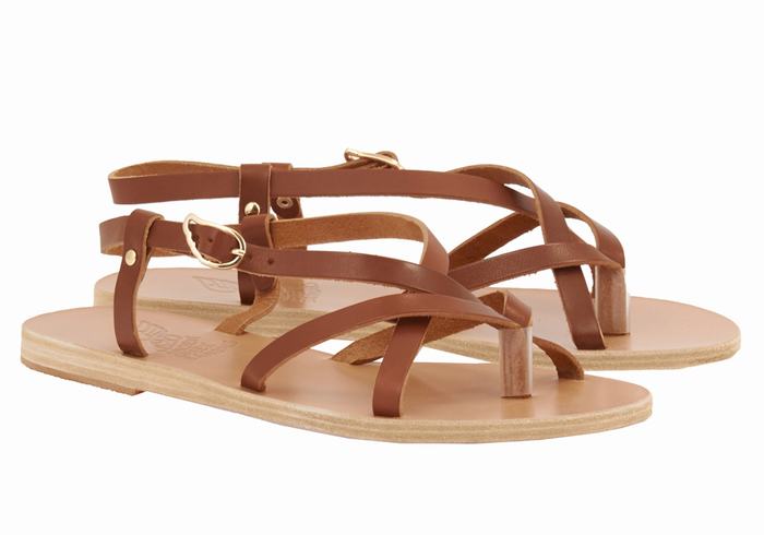 Sandały Z Paskiem Na Plecy Damskie Ancient Greek Sandals Semele Leather Ciemny Brązowe | TNQ4134UI