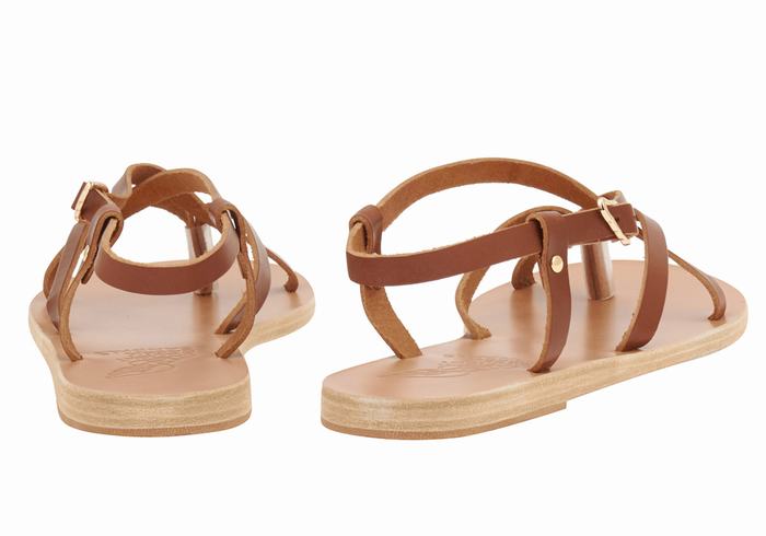 Sandały Z Paskiem Na Plecy Damskie Ancient Greek Sandals Semele Leather Ciemny Brązowe | TNQ4134UI