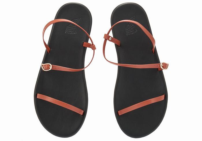 Sandały Z Paskiem Na Plecy Damskie Ancient Greek Sandals Niove Ciemny Brązowe | OUY4853OV