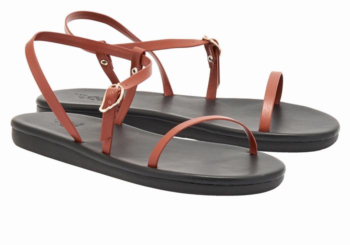 Sandały Z Paskiem Na Plecy Damskie Ancient Greek Sandals Niove Ciemny Brązowe | OUY4853OV