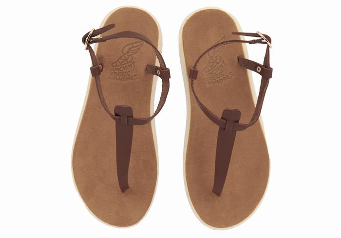 Sandały Z Paskiem Na Plecy Damskie Ancient Greek Sandals Lito Comfort Kawa | XSX6615HY