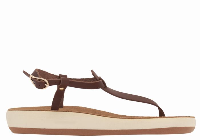 Sandały Z Paskiem Na Plecy Damskie Ancient Greek Sandals Lito Comfort Kawa | XSX6615HY