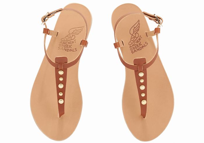 Sandały Z Paskiem Na Plecy Damskie Ancient Greek Sandals Lito Bee Ciemny Brązowe | TCS5087GJ