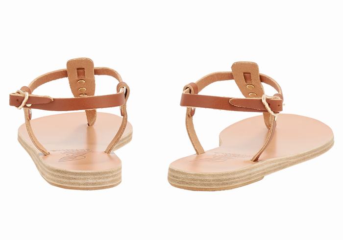 Sandały Z Paskiem Na Plecy Damskie Ancient Greek Sandals Lito Bee Ciemny Brązowe | TCS5087GJ