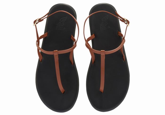 Sandały Z Paskiem Na Plecy Damskie Ancient Greek Sandals Lito Flip Flop Ciemny Brązowe | ZVI6934IX