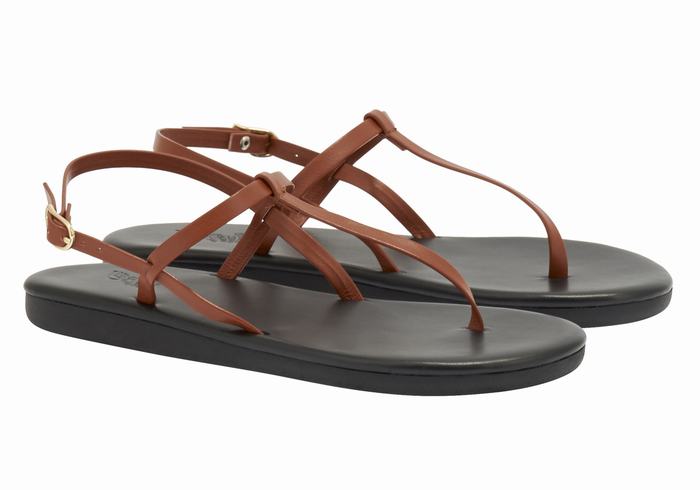 Sandały Z Paskiem Na Plecy Damskie Ancient Greek Sandals Lito Flip Flop Ciemny Brązowe | ZVI6934IX