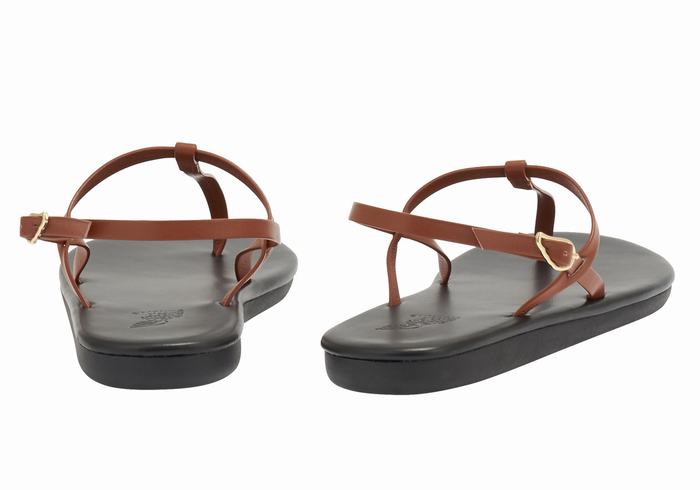 Sandały Z Paskiem Na Plecy Damskie Ancient Greek Sandals Lito Flip Flop Ciemny Brązowe | ZVI6934IX