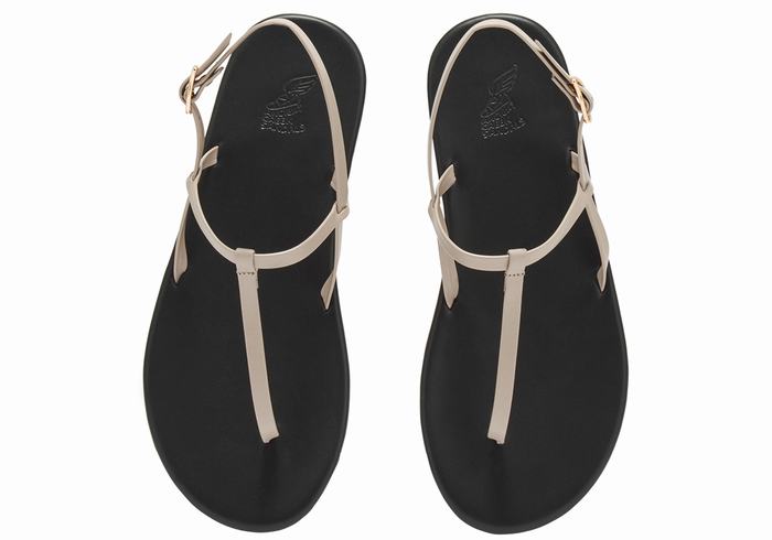 Sandały Z Paskiem Na Plecy Damskie Ancient Greek Sandals Lito Flip Flop Szare Brązowe | FZD4568AT