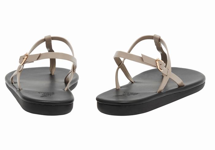 Sandały Z Paskiem Na Plecy Damskie Ancient Greek Sandals Lito Flip Flop Szare Brązowe | FZD4568AT