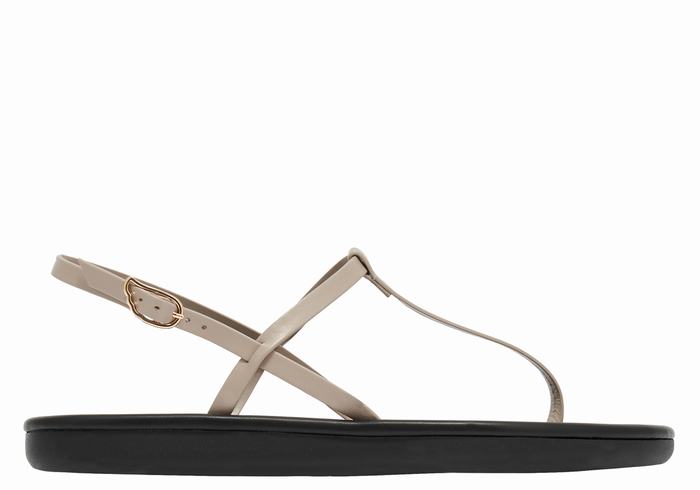 Sandały Z Paskiem Na Plecy Damskie Ancient Greek Sandals Lito Flip Flop Szare Brązowe | FZD4568AT