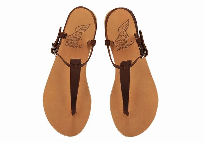 Sandały Z Paskiem Na Plecy Damskie Ancient Greek Sandals Lito Flip Flop Leather Kawa | UBA128PZ