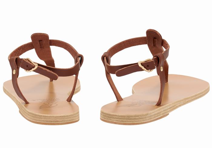 Sandały Z Paskiem Na Plecy Damskie Ancient Greek Sandals Lito Flip Flop Leather Kawa | UBA128PZ